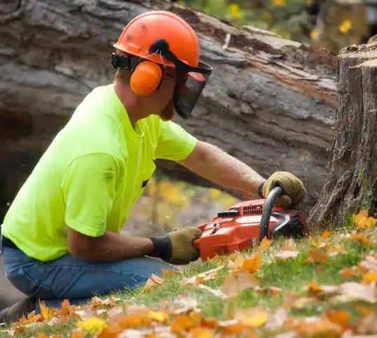 tree services Fort Shawnee